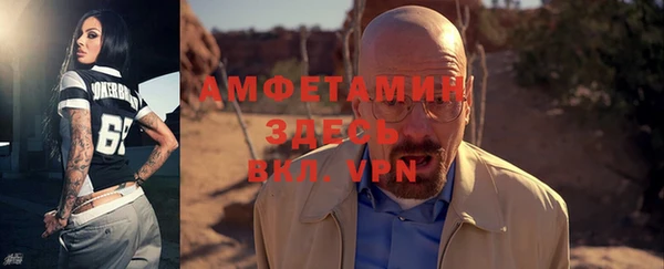 дмт Дмитров