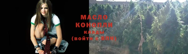 шишки Дмитриев