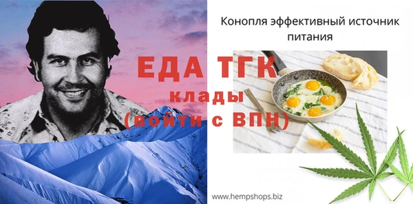 дмт Дмитров