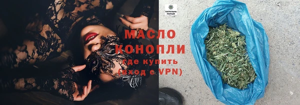 дмт Дмитров