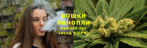 дмт Дмитров