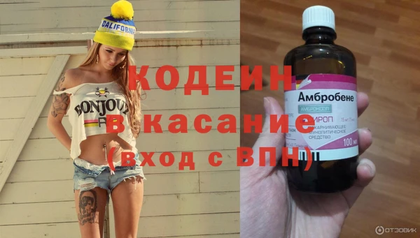 дмт Дмитров