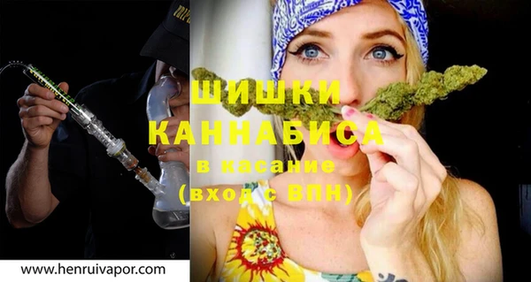 ГАЛЛЮЦИНОГЕННЫЕ ГРИБЫ Ельня